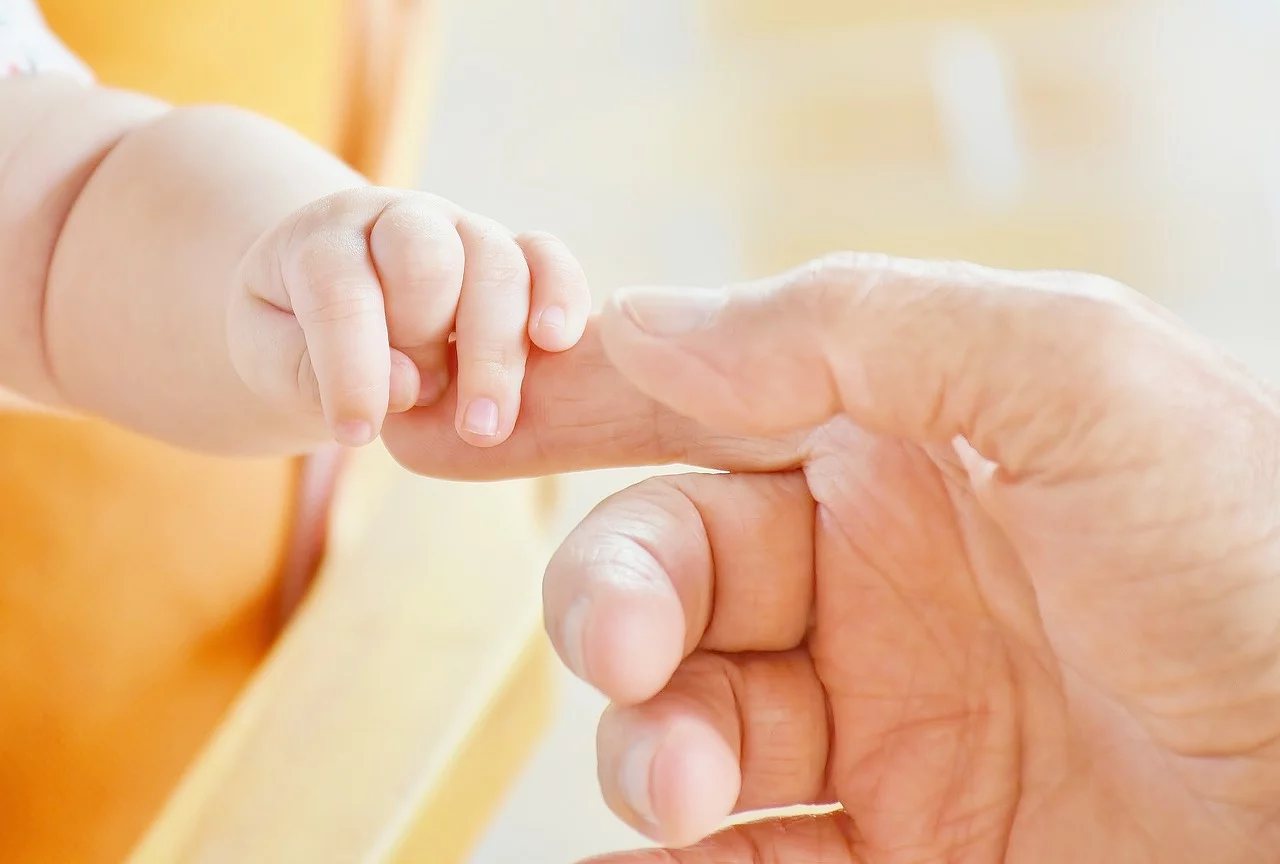 Une boutique en ligne spécialisée dans le mobilier pour bébé
